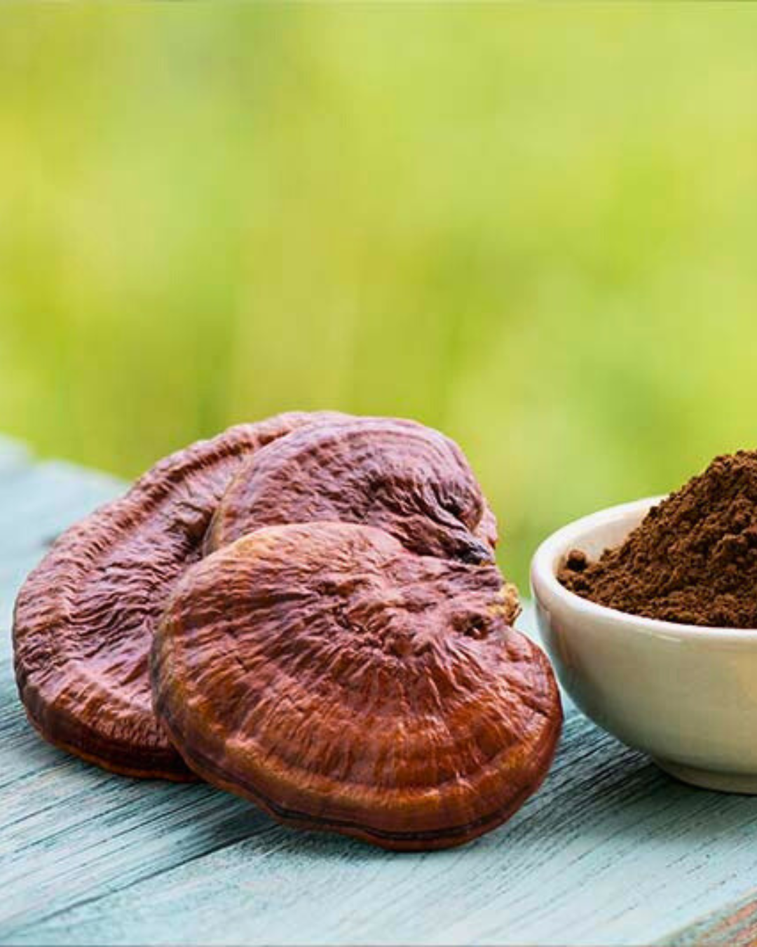 Doble Extracto Reishi, gotario de 30 ml.
